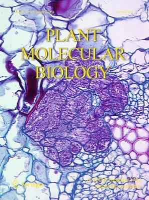 Dr. Vincent Klink's Paper on Cover of Plant Molecular Biology